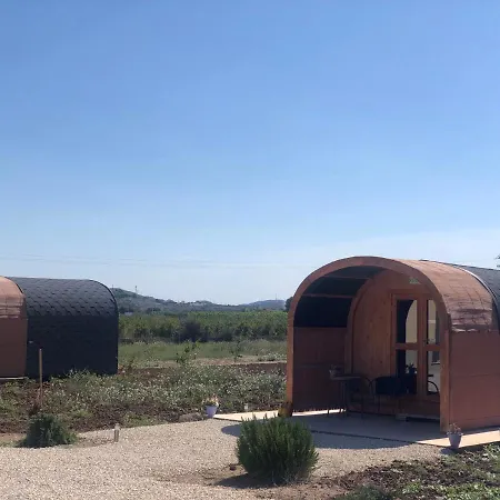 B&B Casa El Cardo Morado Bed & Breakfast Aspe