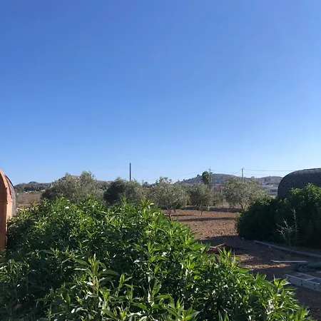 B&B Casa El Cardo Morado Bed & Breakfast