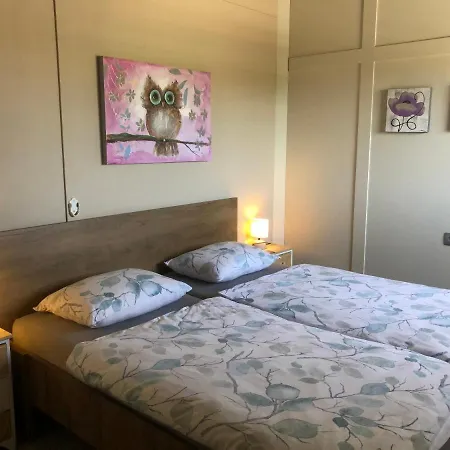 B&B Casa El Cardo Morado Bed & Breakfast Aspe
