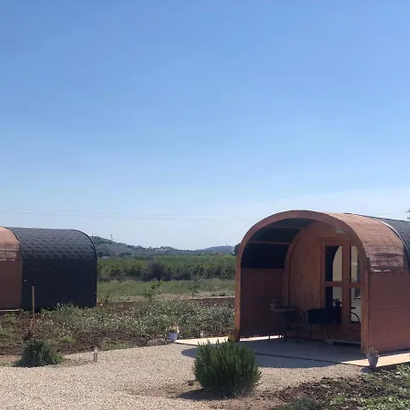 B&B Casa El Cardo Morado Bed & Breakfast Aspe